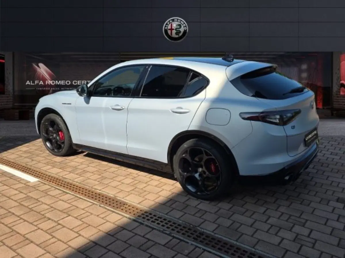 Alfa Romeo Stelvio usata a Monza e Brianza (7)