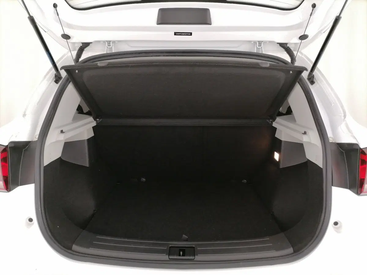 Mg ZS usata a Roma (10)