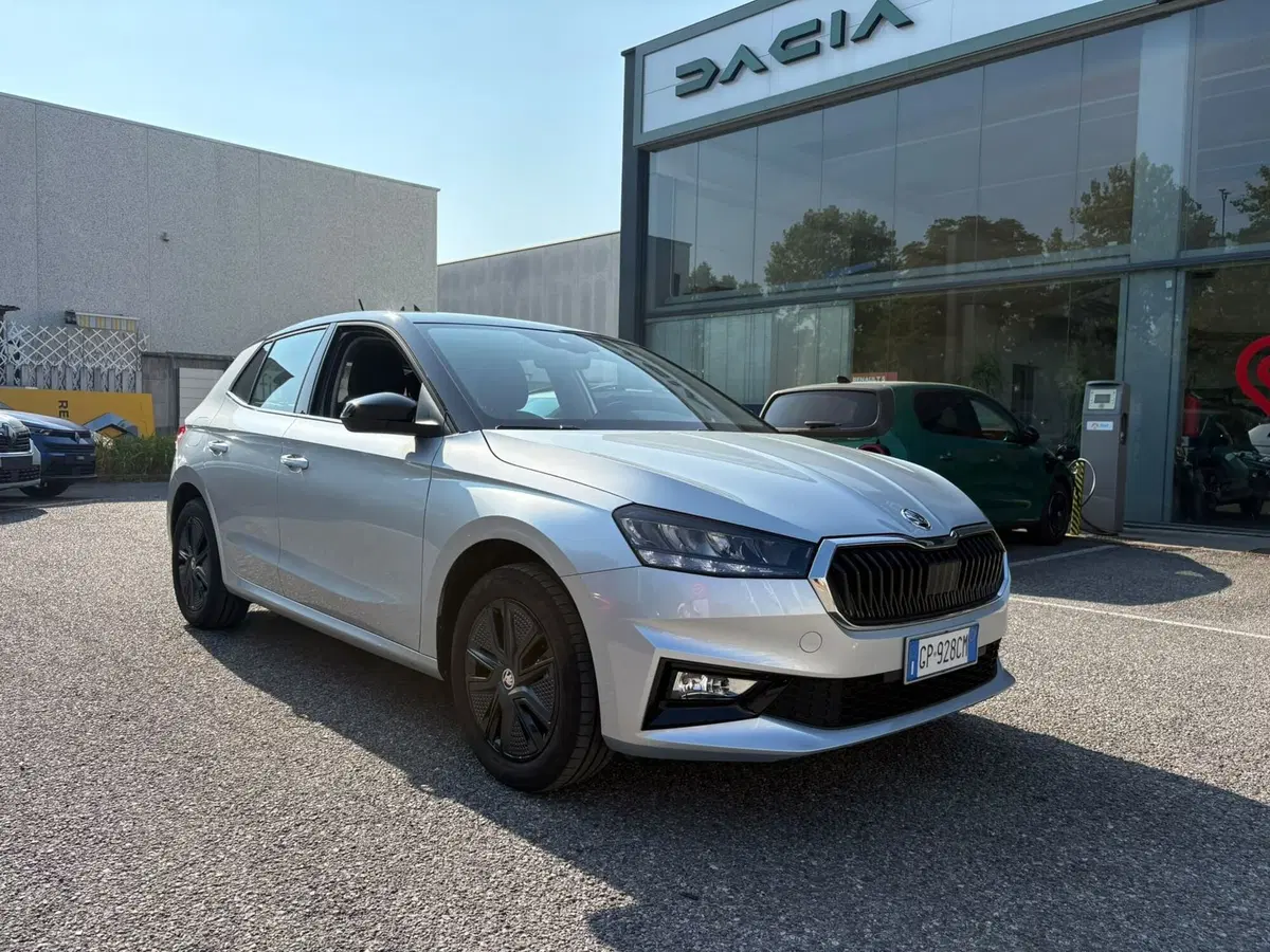 Skoda Fabia usata a Bergamo