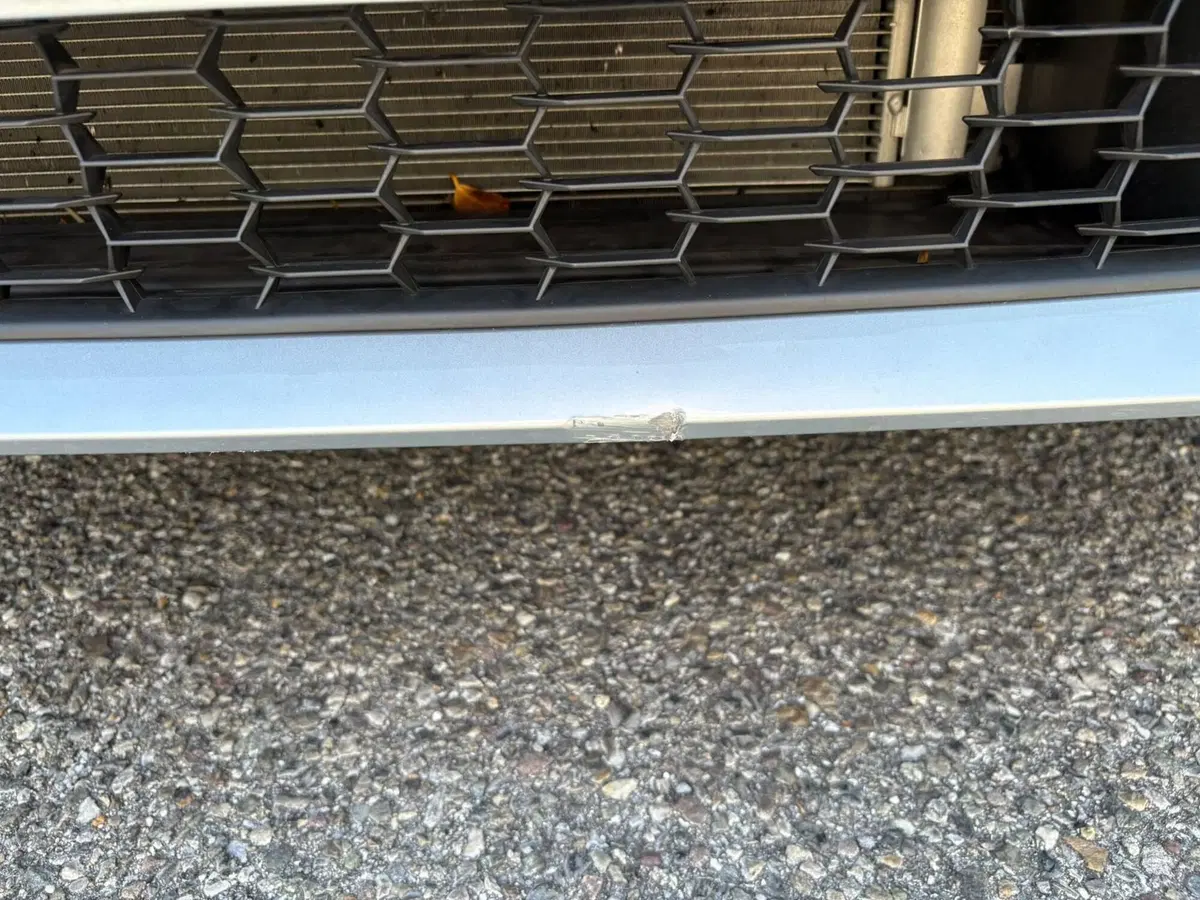 Skoda Fabia usata a Bergamo (11)
