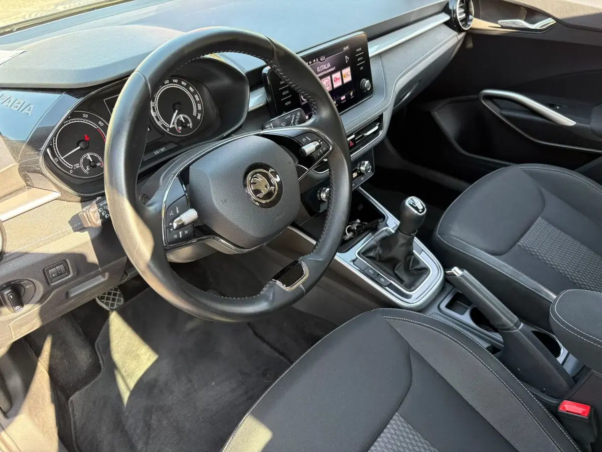 Skoda Fabia usata a Bergamo (12)