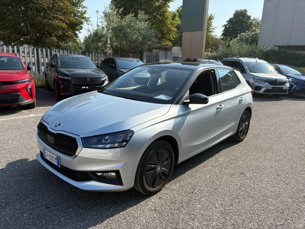 Skoda Fabia usata a Bergamo (3)