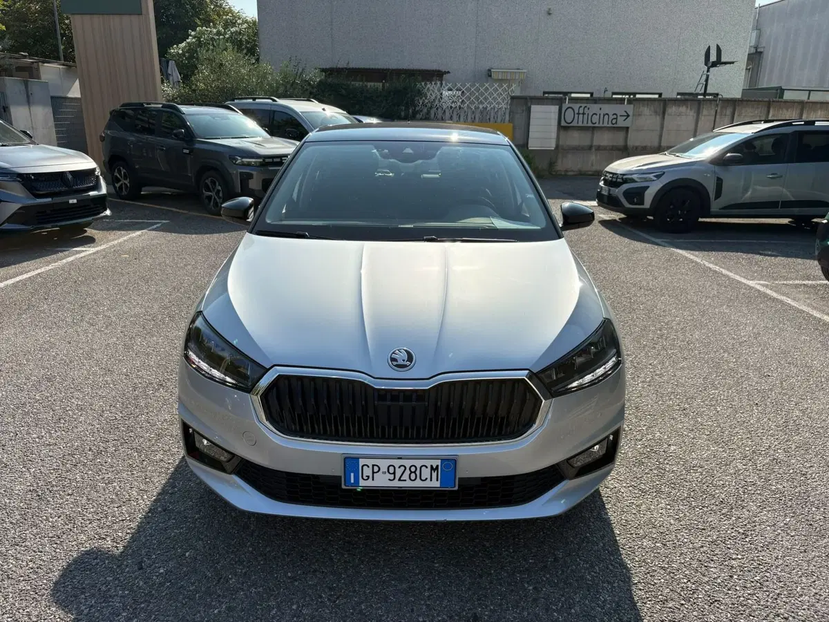 Skoda Fabia usata a Bergamo (5)