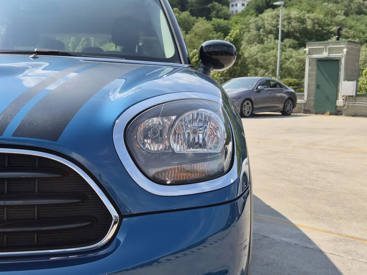 MINI Mini Countryman usata  (16)