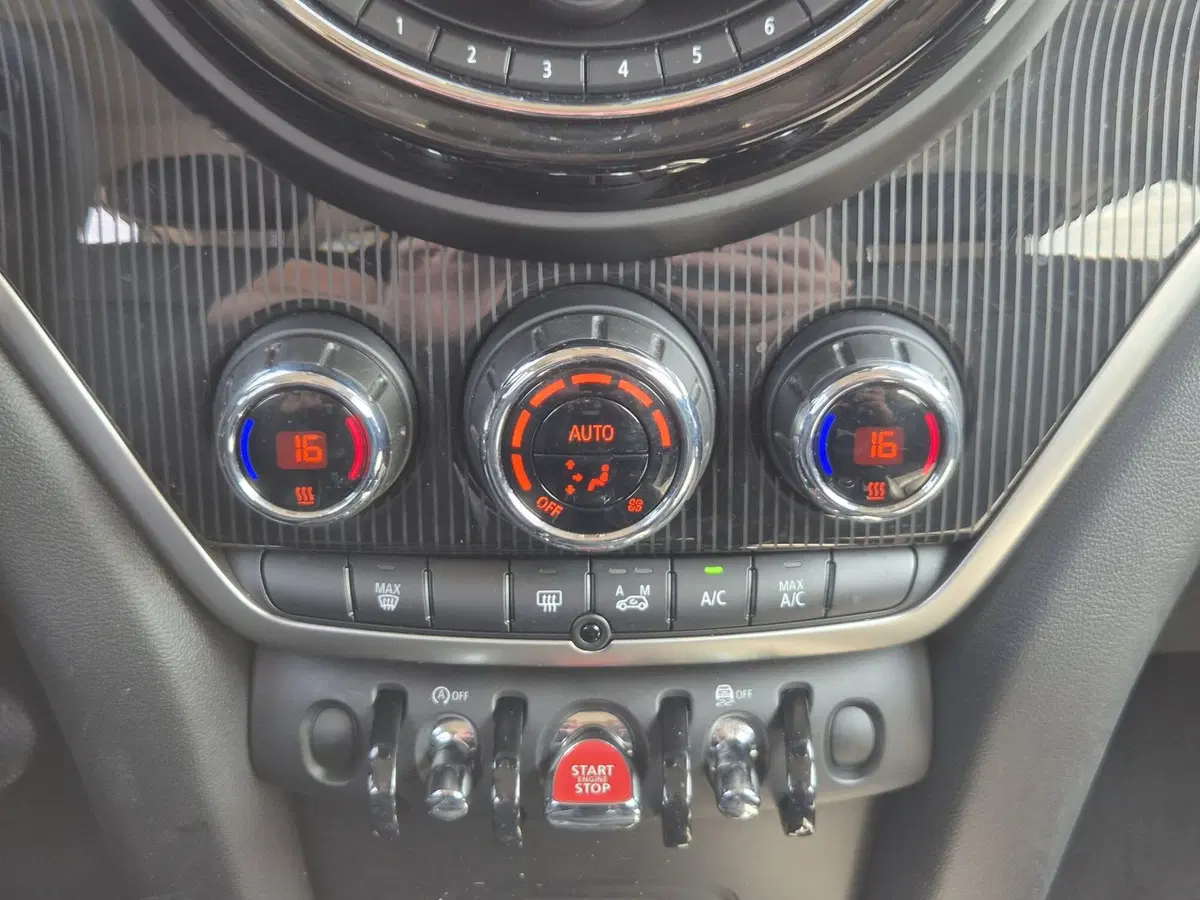 MINI Mini Countryman usata  (18)