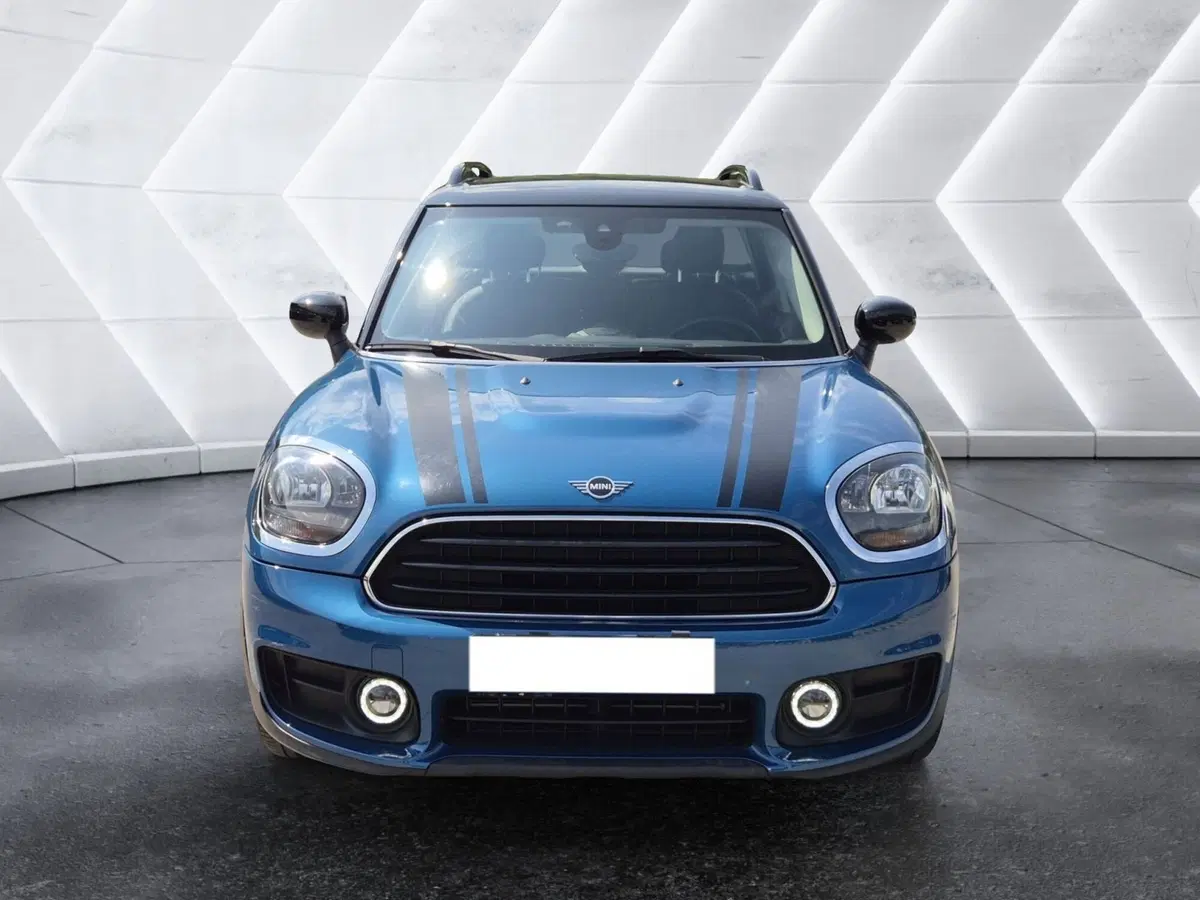 MINI Mini Countryman usata  (2)