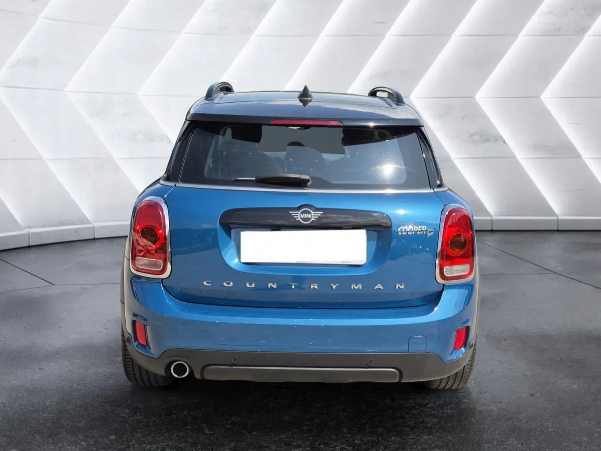 MINI Mini Countryman usata  (3)