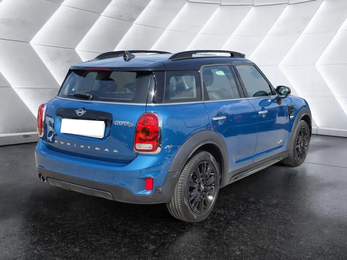 MINI Mini Countryman usata  (4)