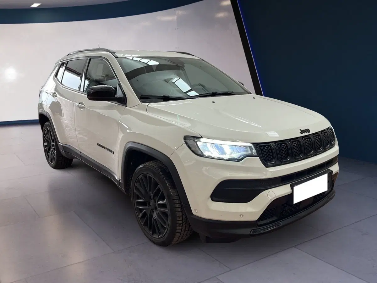 Jeep Compass usata a Torino (2)