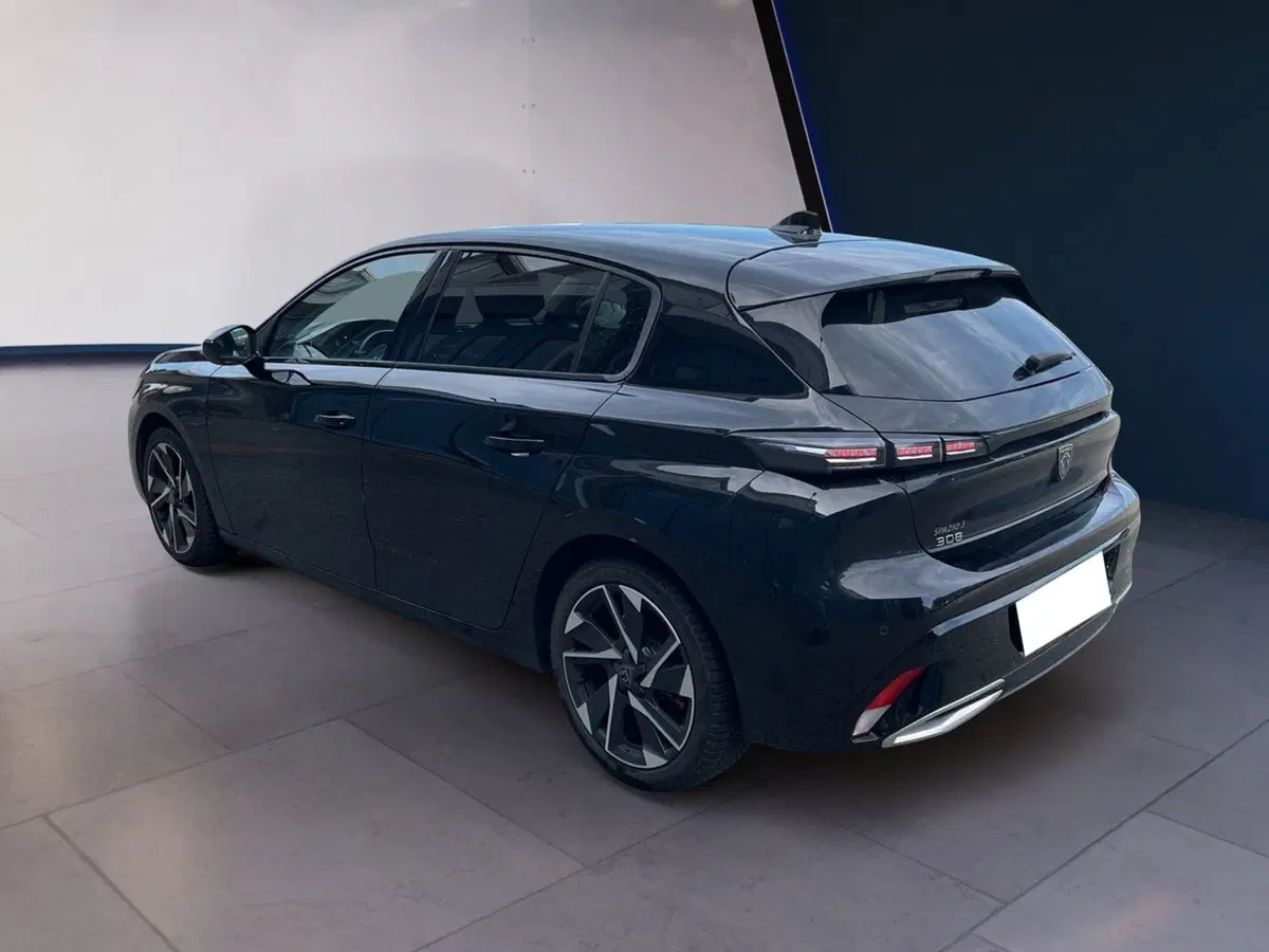 Peugeot 308 Tre Volumi usata a Torino (6)