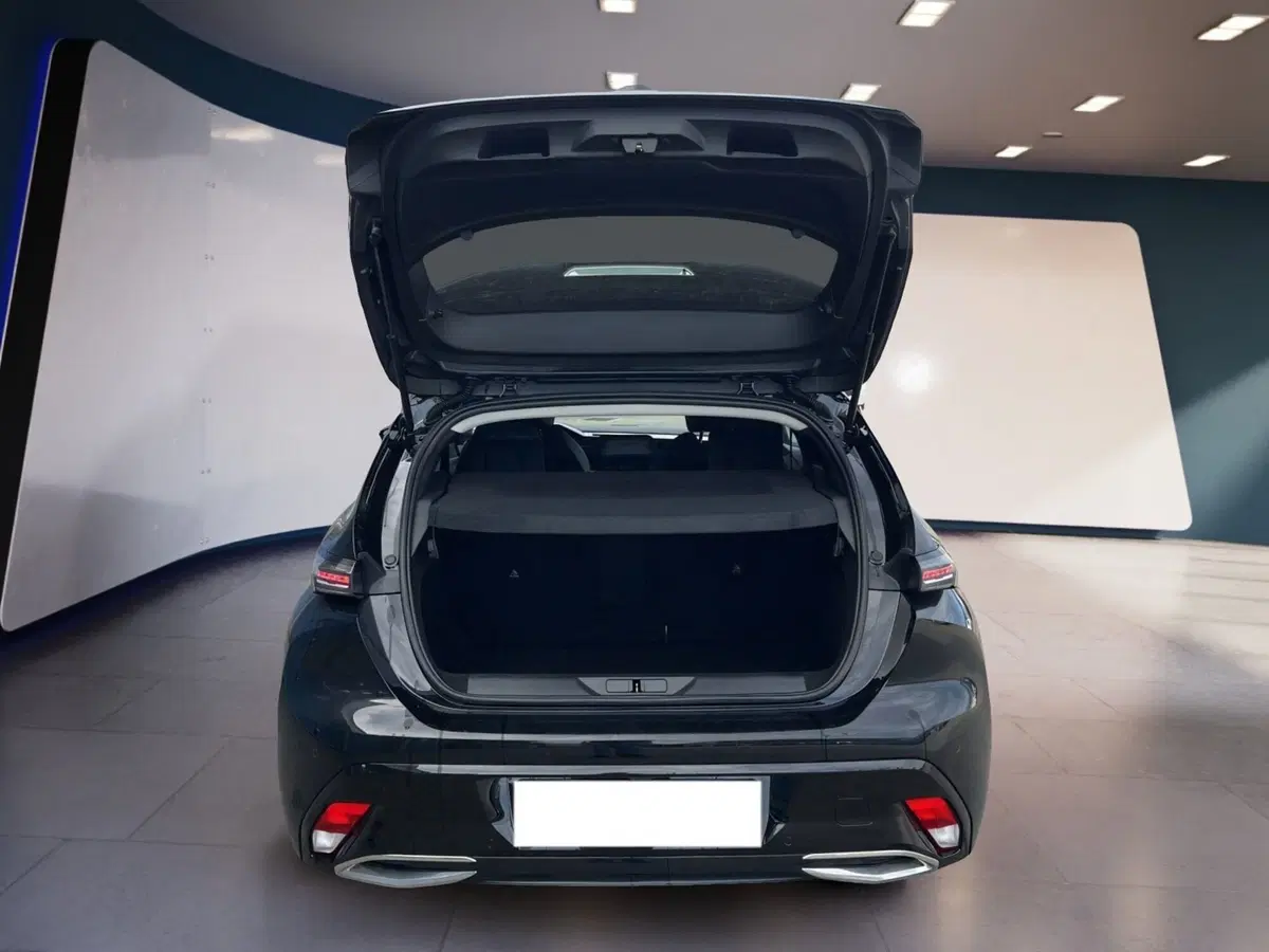Peugeot 308 Tre Volumi usata a Torino (7)