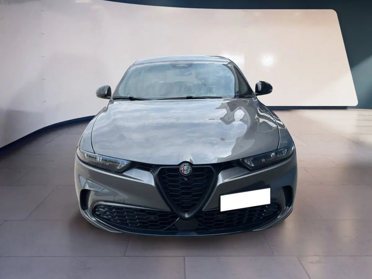 Alfa Romeo Tonale usata a Torino