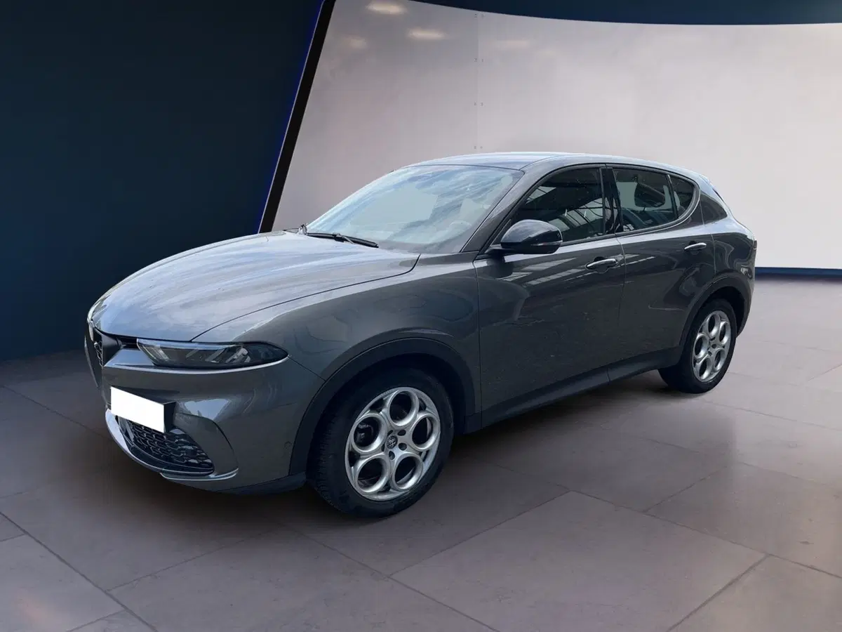 Alfa Romeo Tonale usata a Torino (2)
