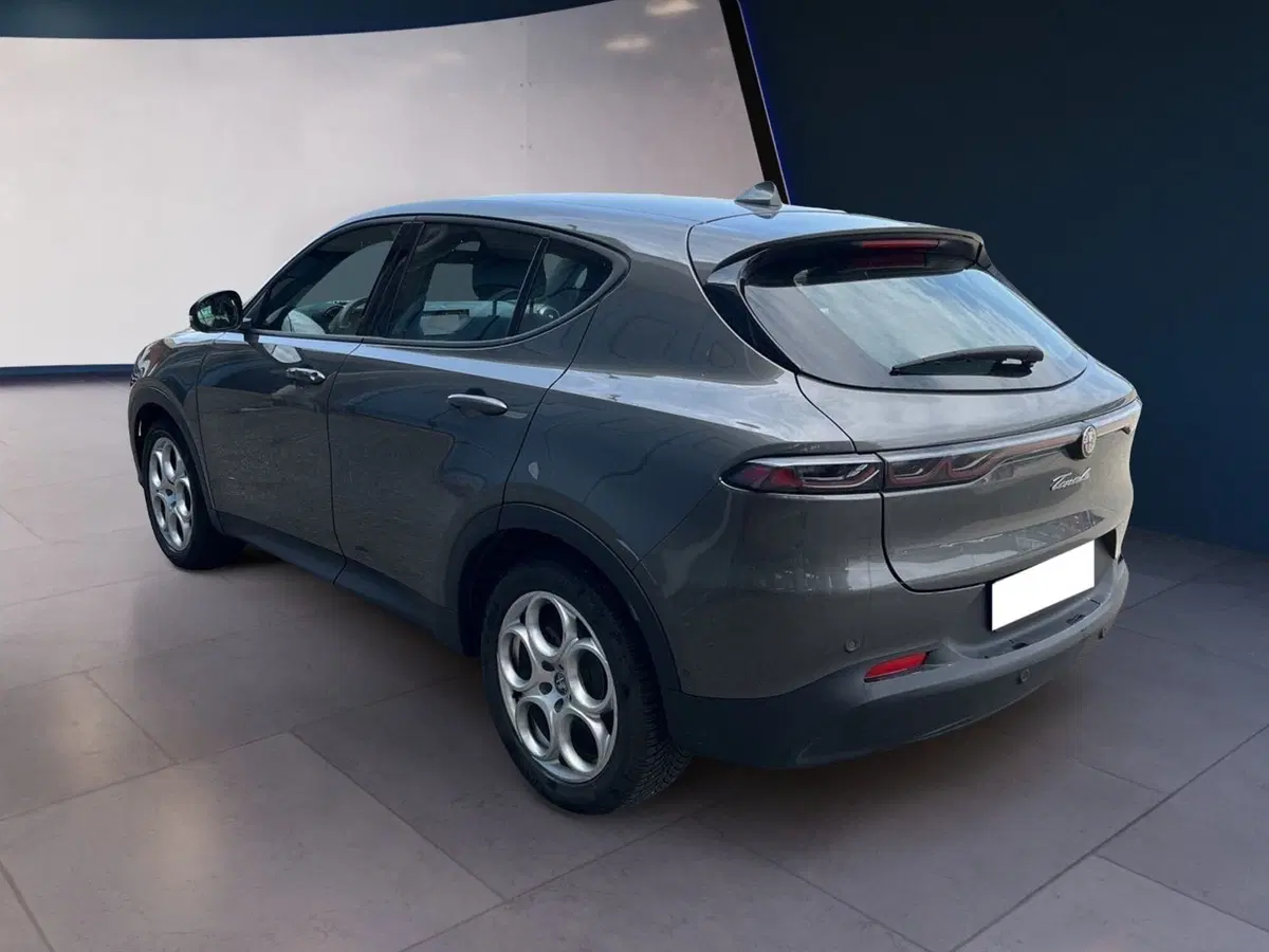 Alfa Romeo Tonale usata a Torino (6)
