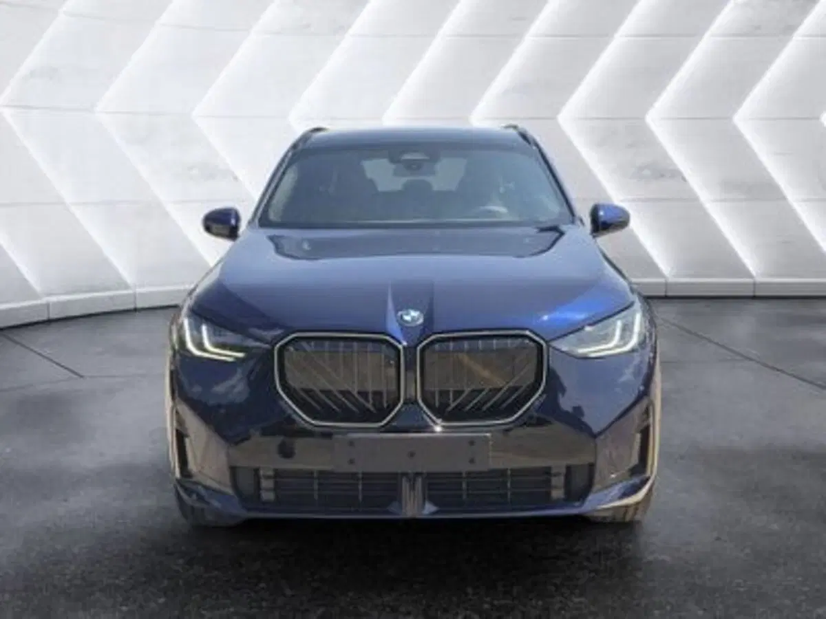 BMW X3 nuova  (2)