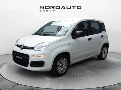 Fiat Panda 1.2 Easy del 2016 usata a San Fior