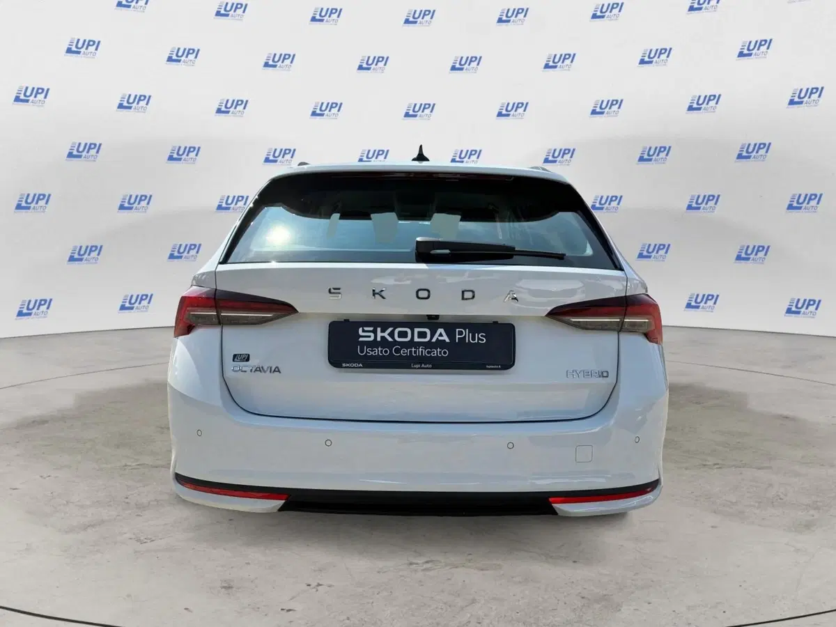 Skoda Octavia Station Wagon nuova a Prato (2)