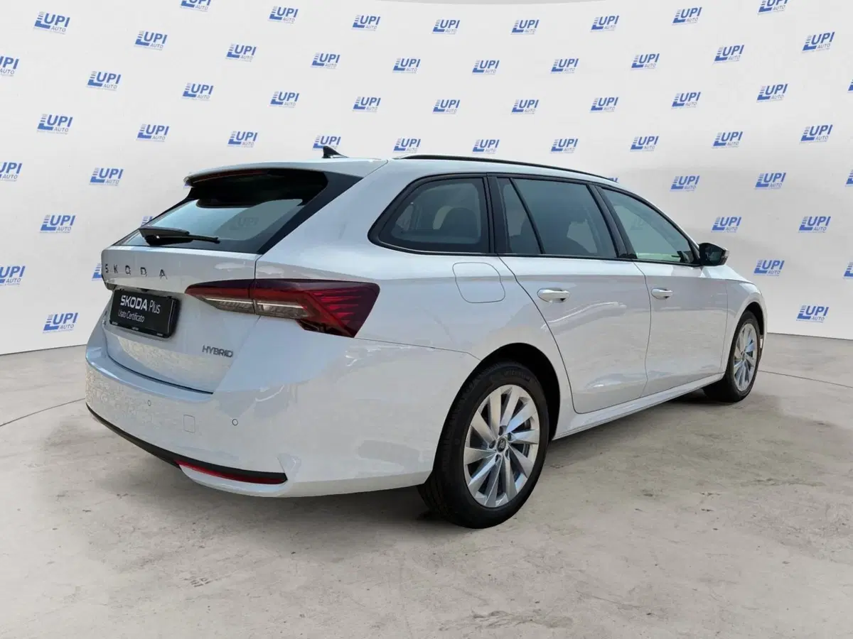 Skoda Octavia Station Wagon nuova a Prato (5)