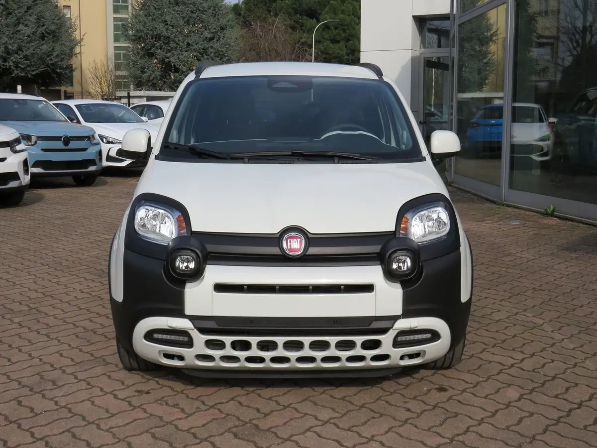 Fiat Pandina nuova a Monza e Brianza (4)