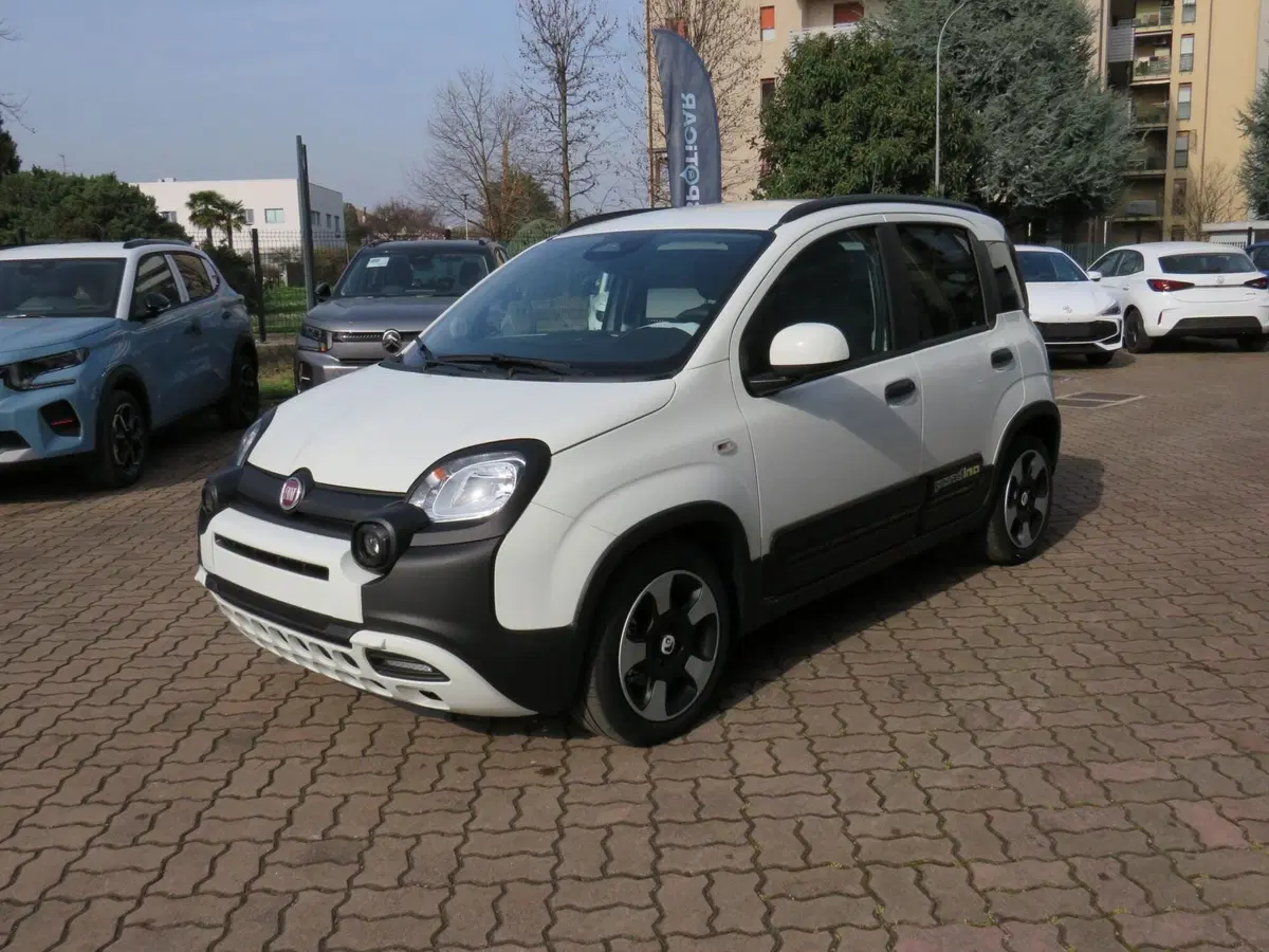 Fiat Pandina nuova a Monza e Brianza (5)