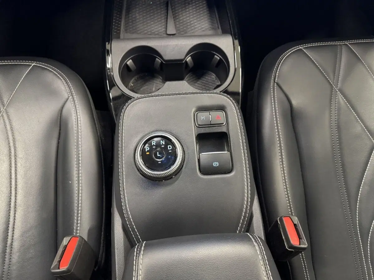 Ford Mustang Mach-E usata a Pistoia (13)