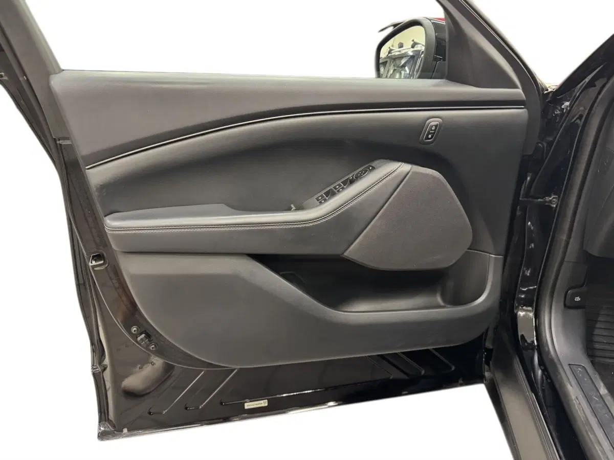 Ford Mustang Mach-E usata a Pistoia (15)