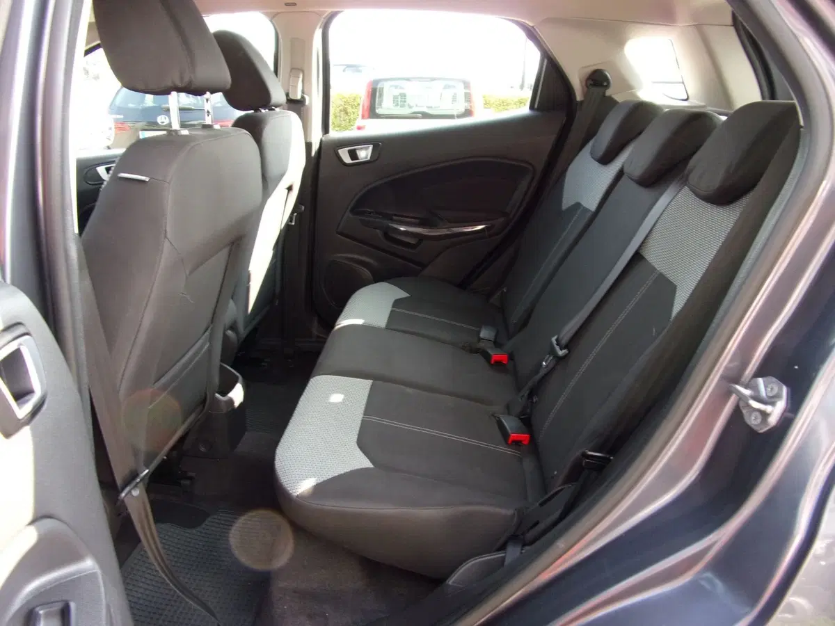 Ford EcoSport usata a Reggio Emilia (10)