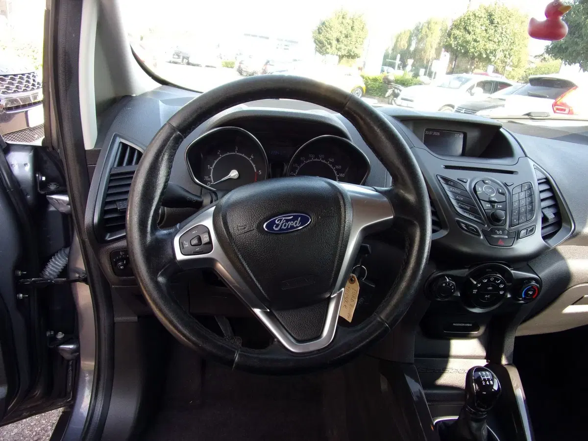 Ford EcoSport usata a Reggio Emilia (13)