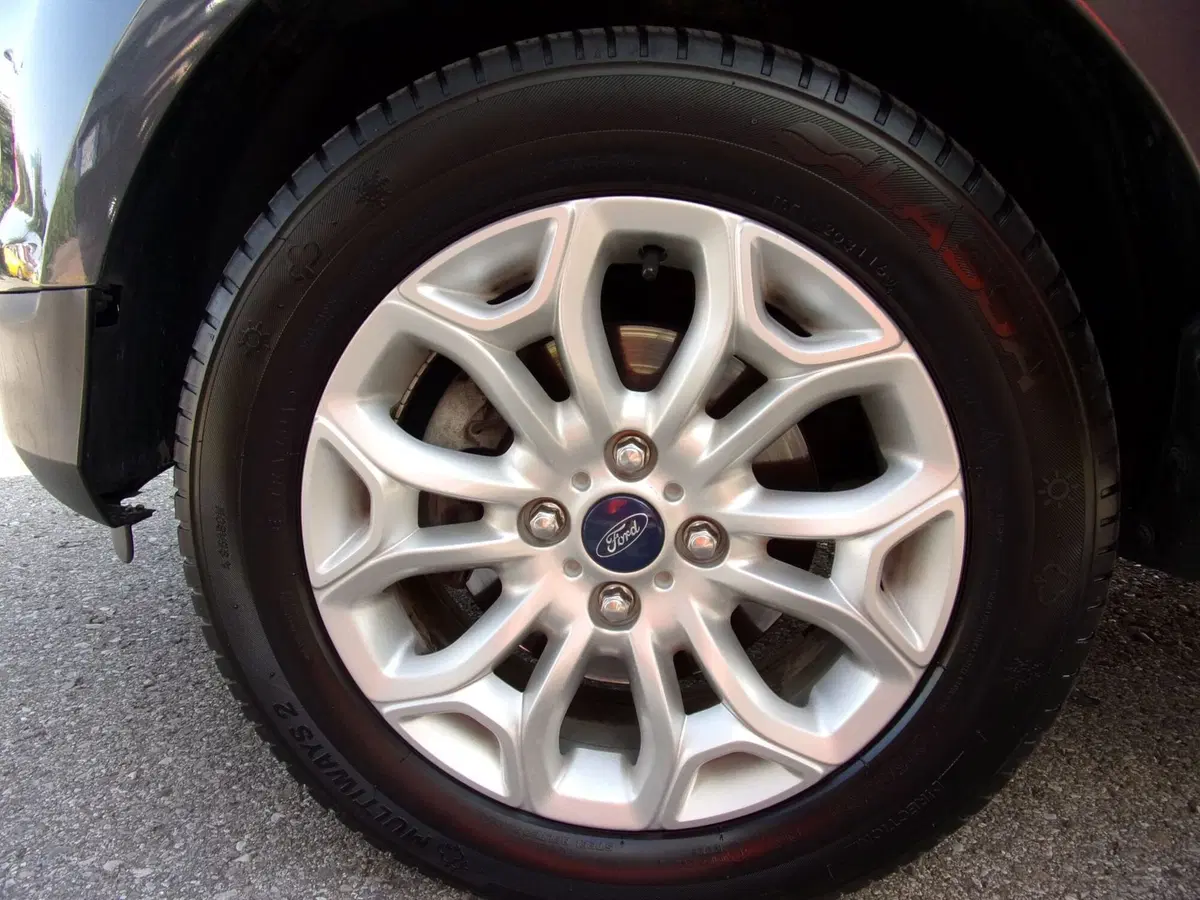 Ford EcoSport usata a Reggio Emilia (8)