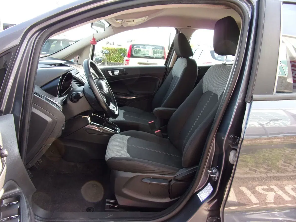 Ford EcoSport usata a Reggio Emilia (9)