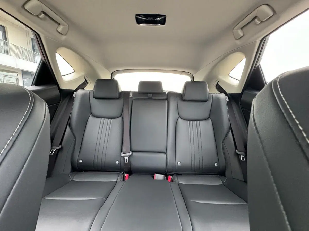 Lexus NX nuova a Modena (15)