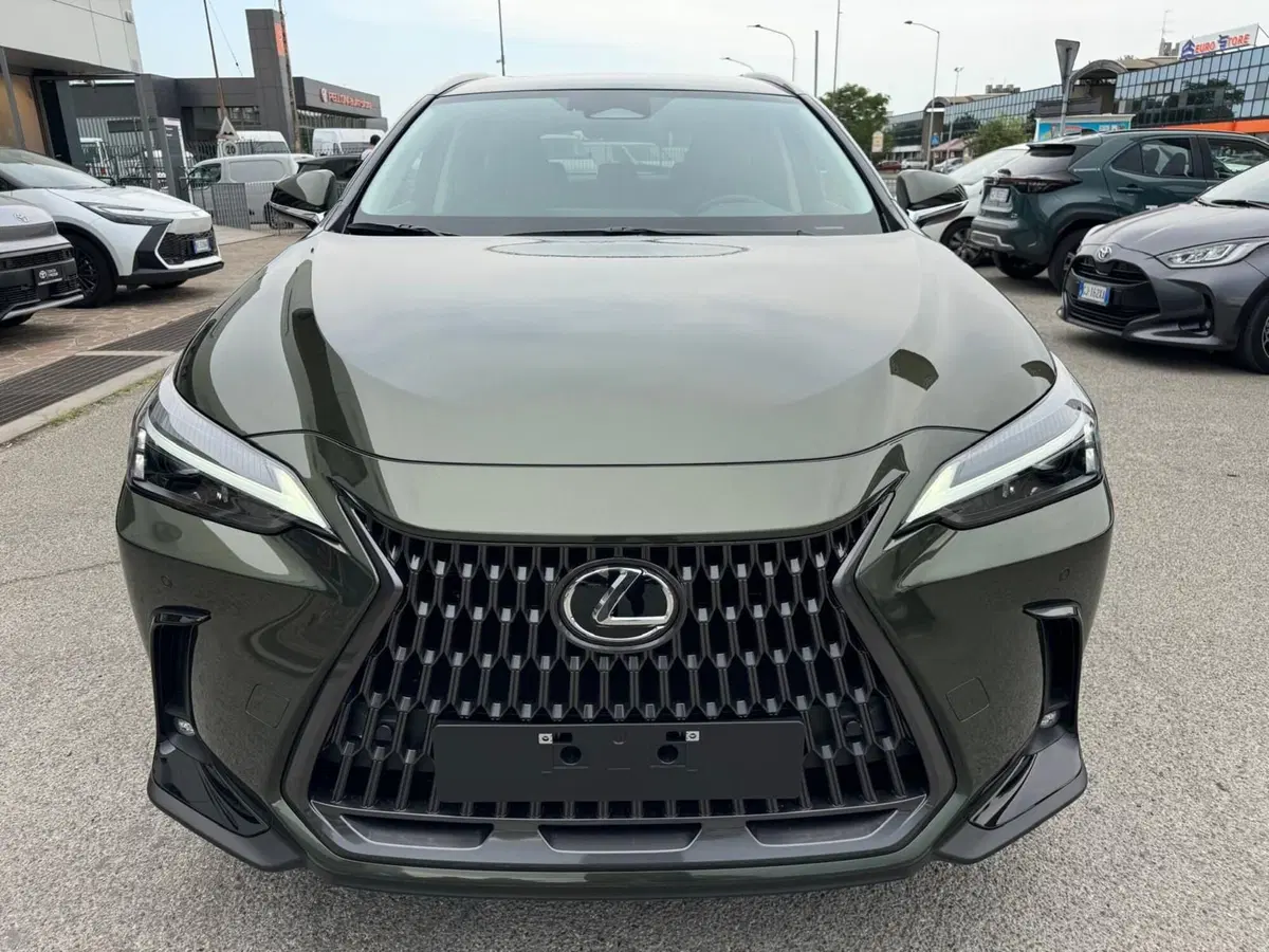 Lexus NX nuova a Modena (2)