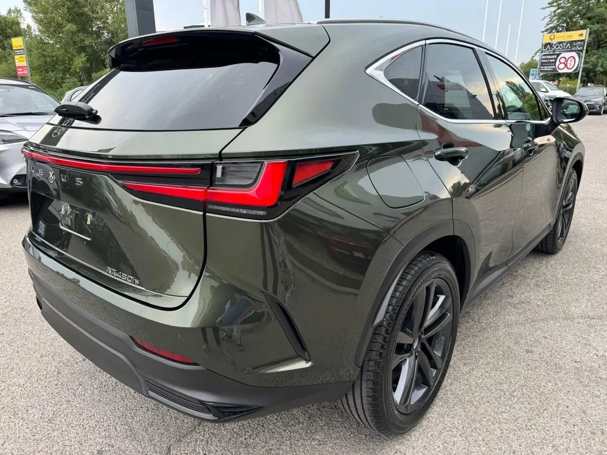 Lexus NX nuova a Modena (5)