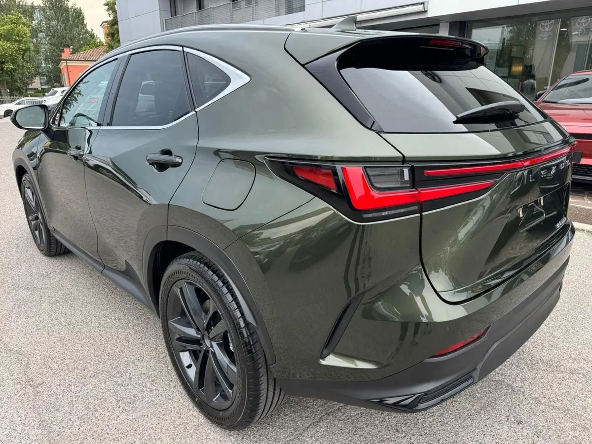 Lexus NX nuova a Modena (7)