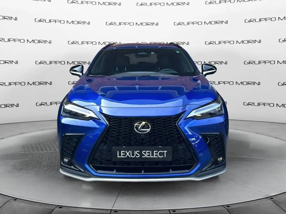 Lexus NX usata a Bologna