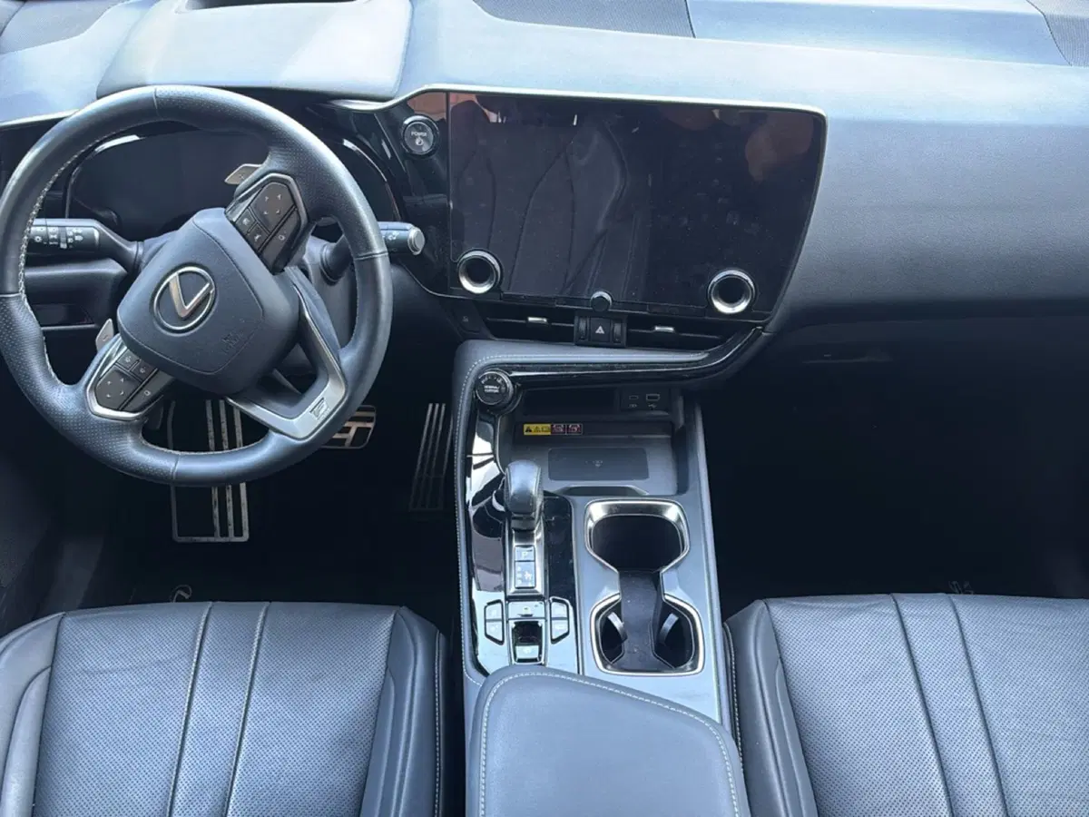 Lexus NX usata a Bologna (10)