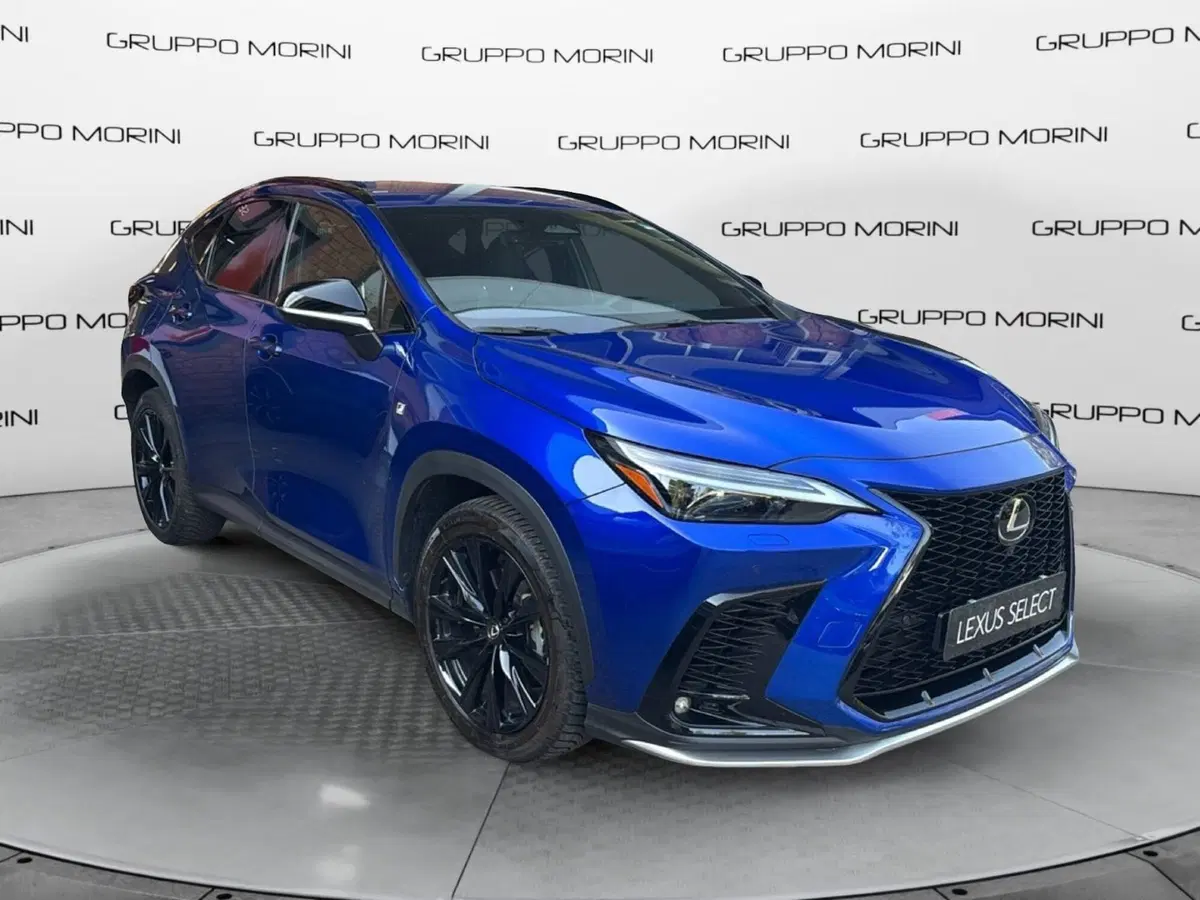 Lexus NX usata a Bologna (2)