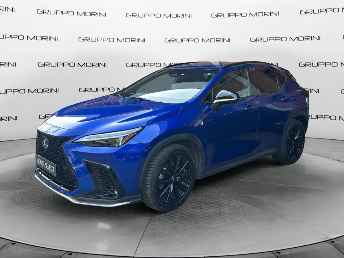Lexus NX usata a Bologna (3)