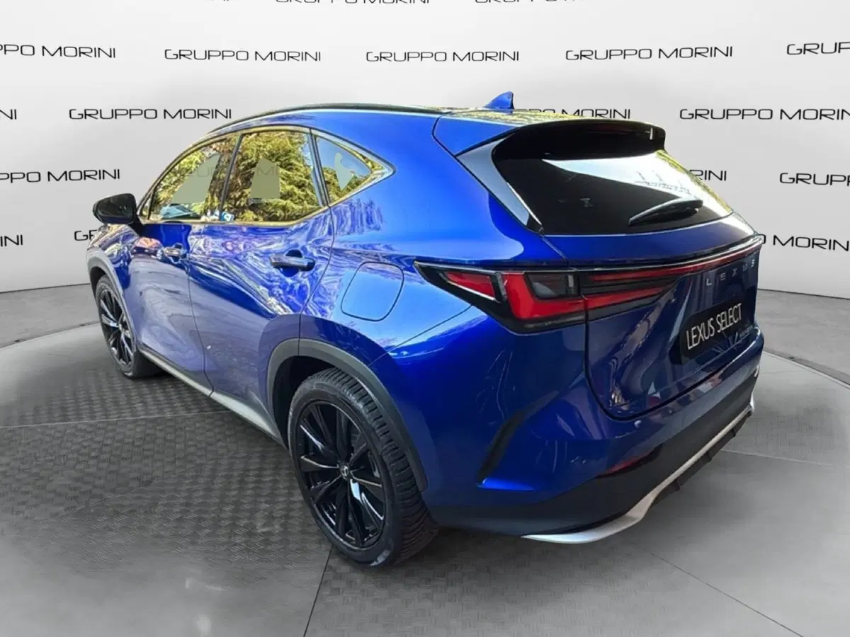Lexus NX usata a Bologna (5)