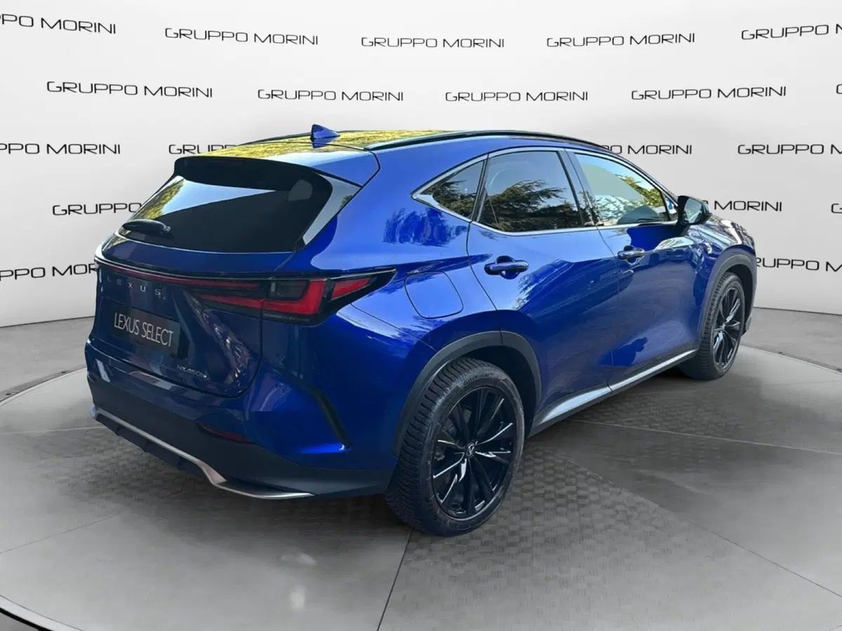 Lexus NX usata a Bologna (6)
