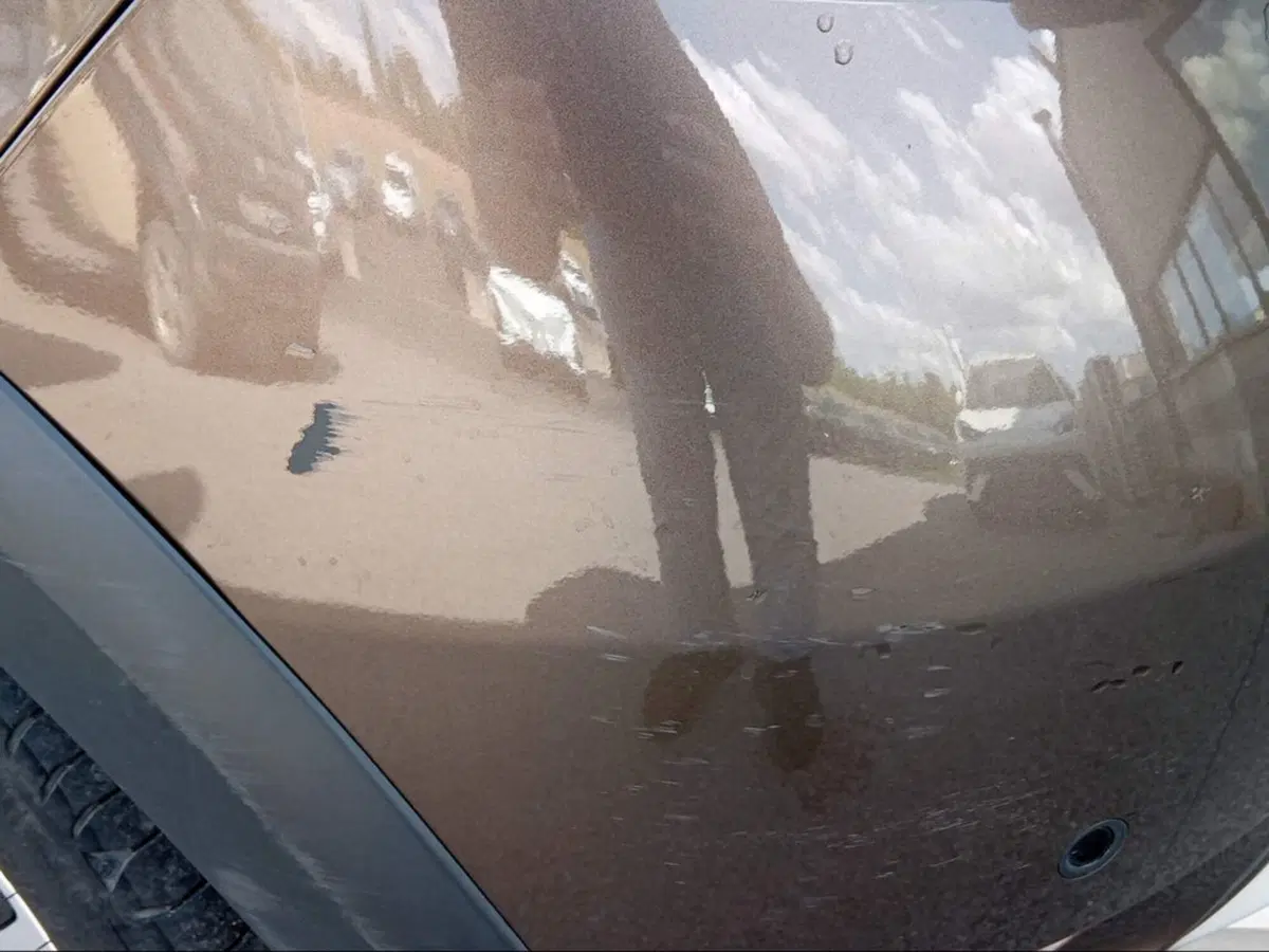 Dacia Sandero usata a Grosseto (18)