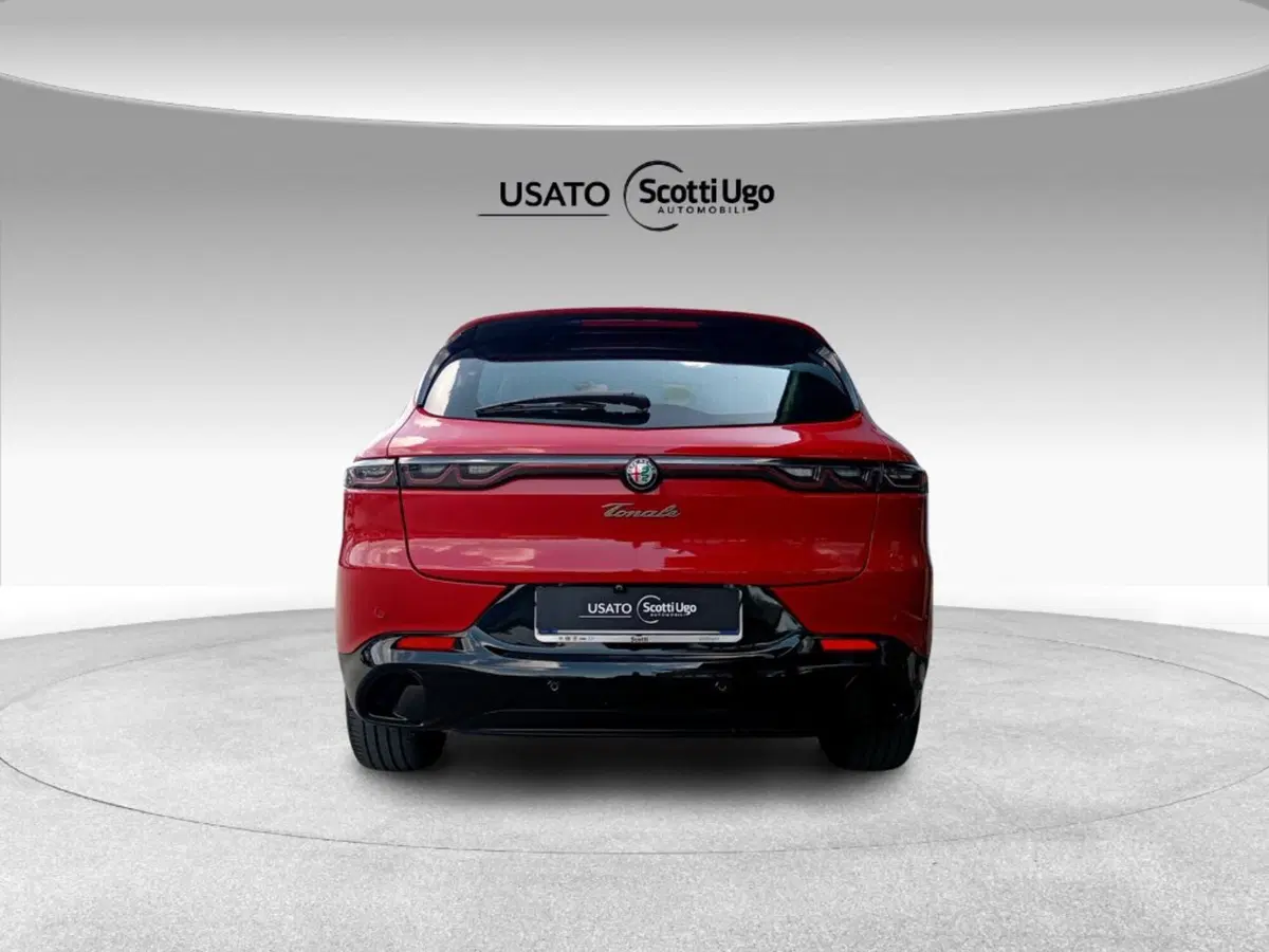 Alfa Romeo Tonale usata a Grosseto (7)