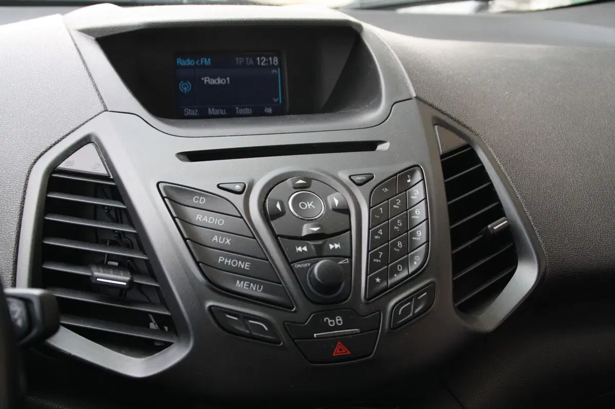 Ford EcoSport usata a Pordenone (11)