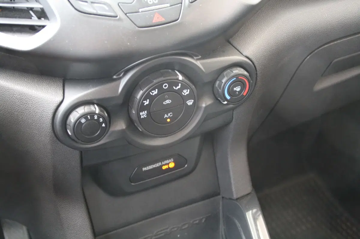 Ford EcoSport usata a Pordenone (12)