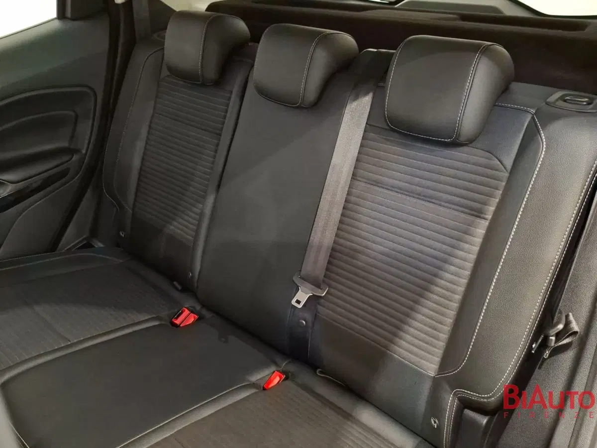 Ford EcoSport usata a Firenze (10)