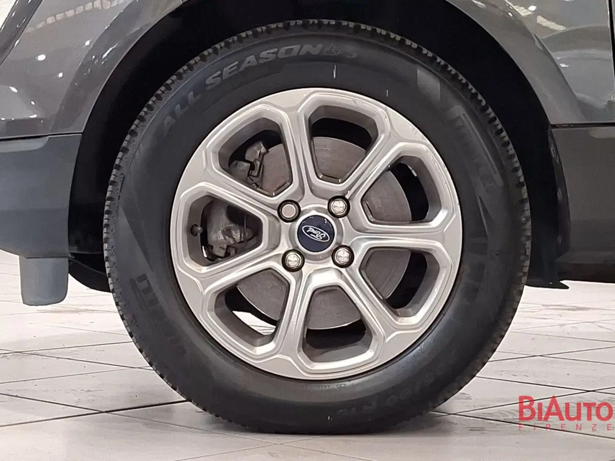 Ford EcoSport usata a Firenze (13)