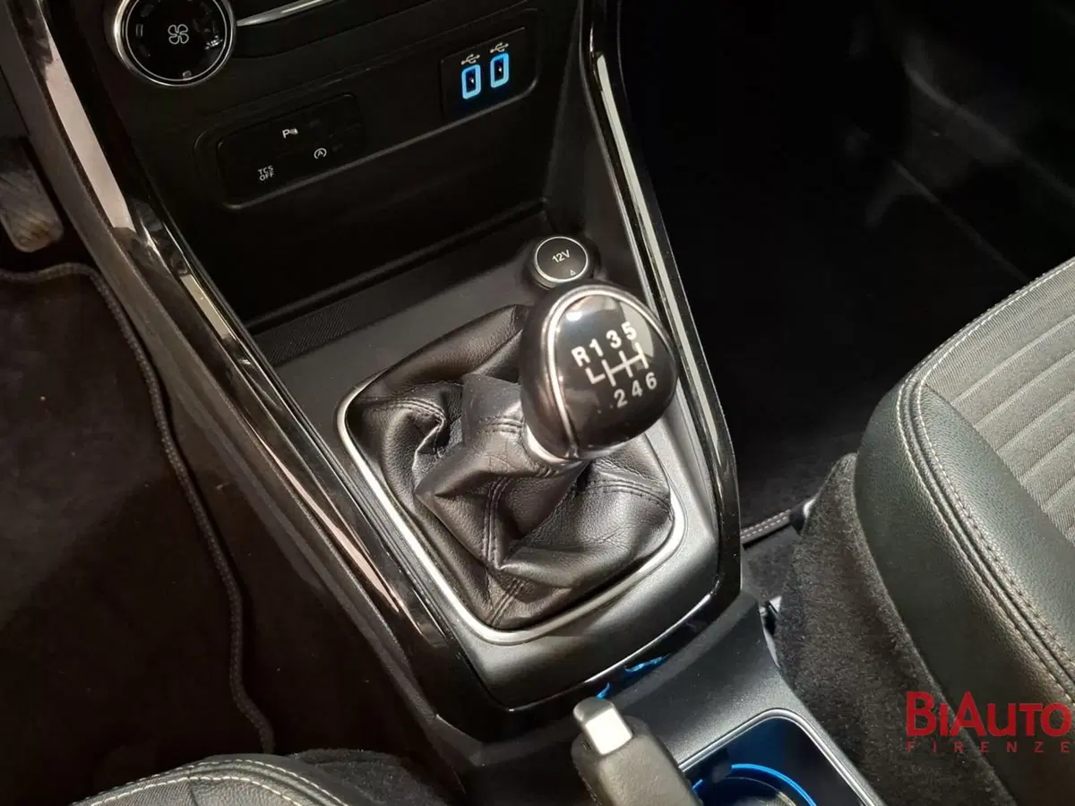 Ford EcoSport usata a Firenze (17)