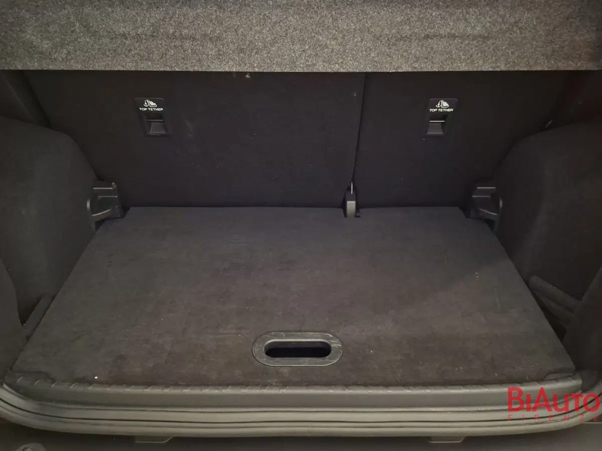 Ford EcoSport usata a Firenze (5)