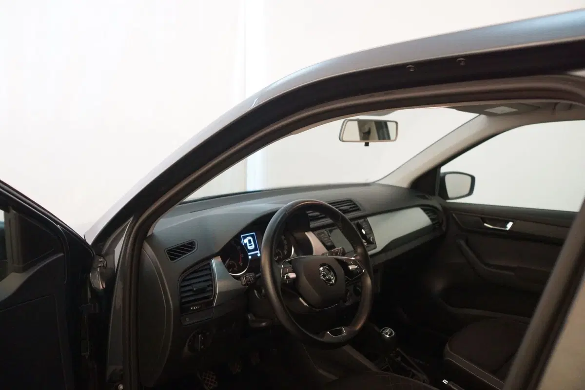 Skoda Fabia usata a Torino (10)