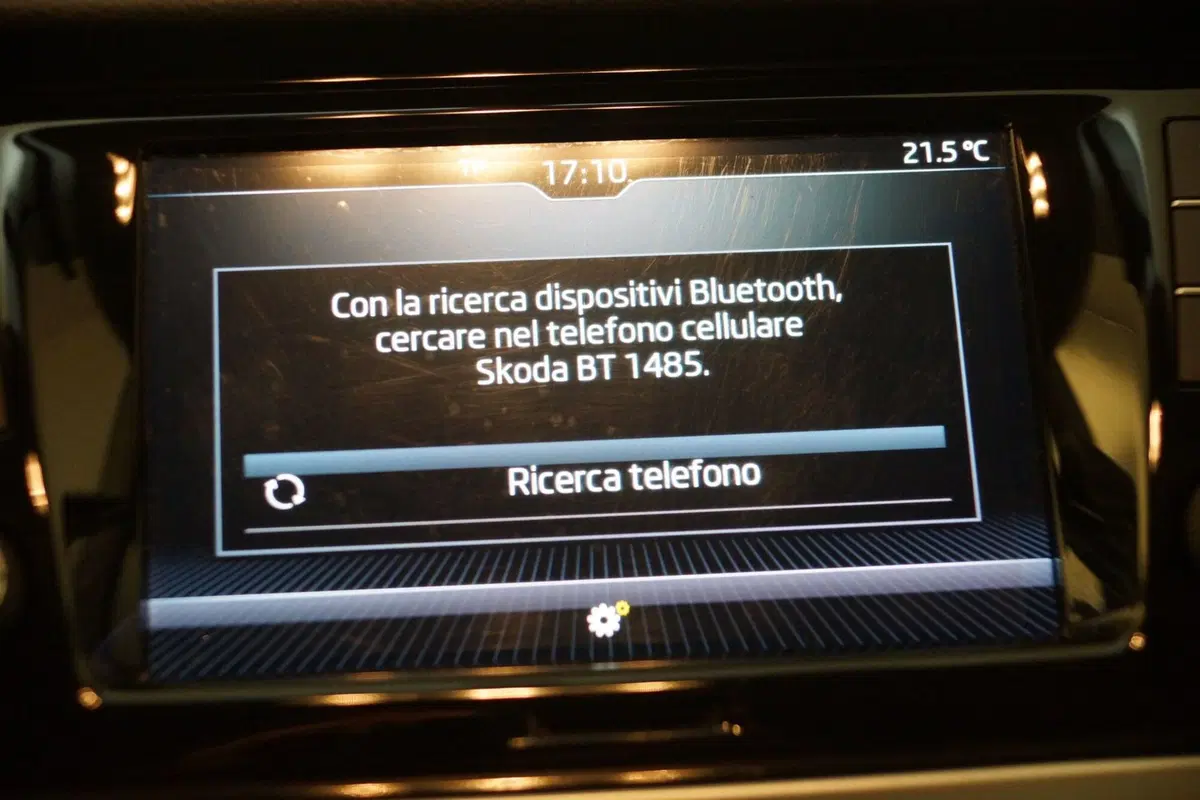 Skoda Fabia usata a Torino (18)